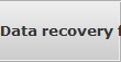 Data recovery for Banks data